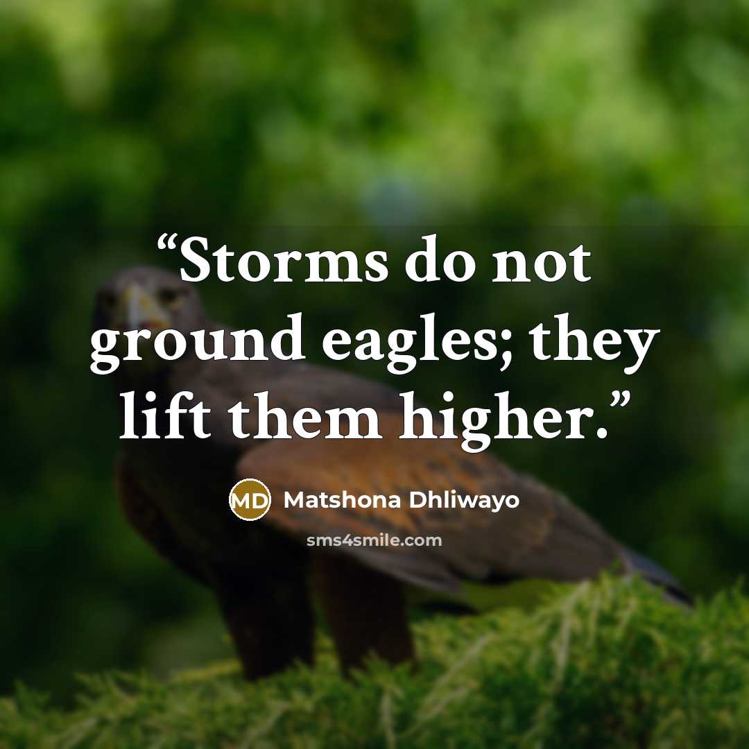 “Storms do not ground eagles; they lift them higher.” quote by Matshona Dhliwayo