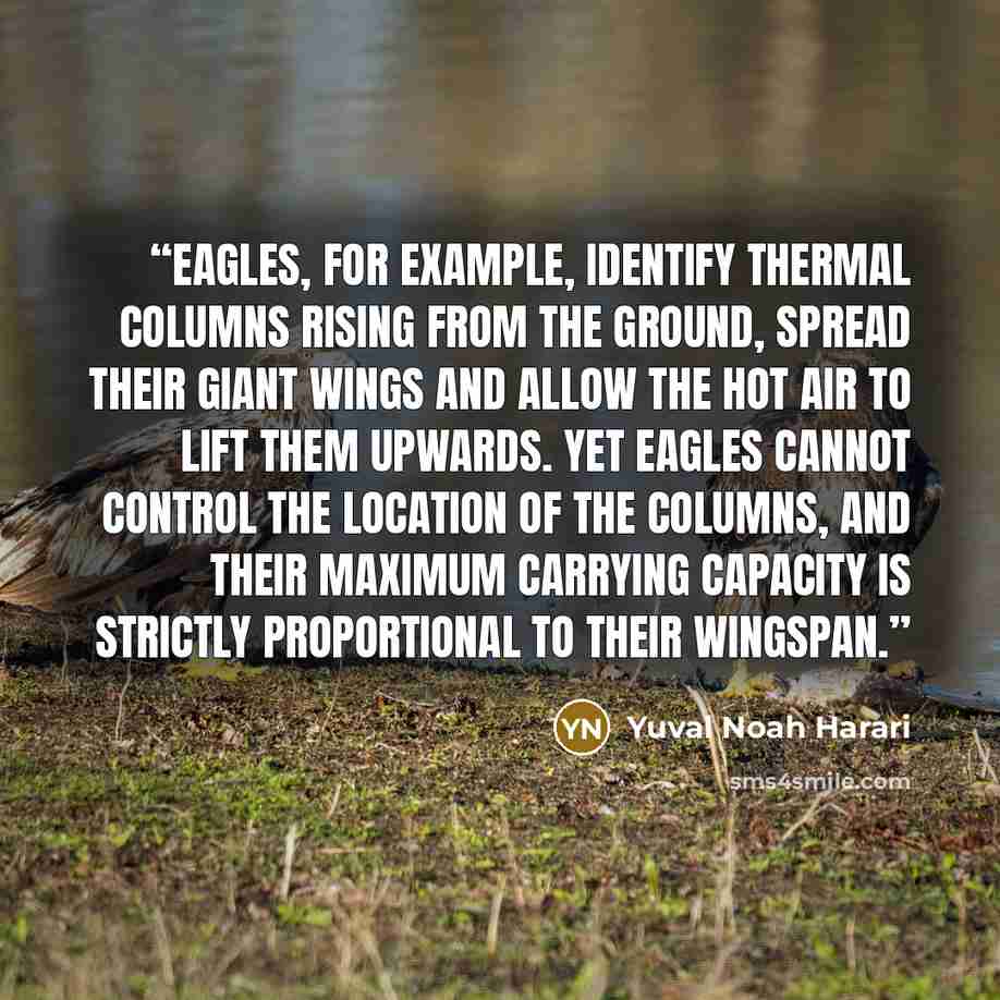 “Eagles, for example, identify thermal columns rising from the ground, spread their giant wings and allow the hot air to lift them upwards. Yet eagles cannot control the location of the columns, and their maximum carrying capacity is strictly proportional to their wingspan.” quote by Yuval Noah Harari