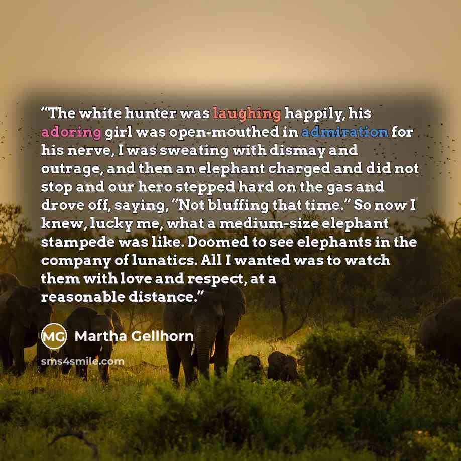 “The white hunter was laughing happily, his adoring girl was open-mouthed in admiration for his nerve, I was sweating with dismay and outrage, and then an elephant charged and did not stop and our hero stepped hard on the gas and drove off, saying, “Not bluffing that time.” So now I knew, lucky me…” quote by Martha Gellhorn