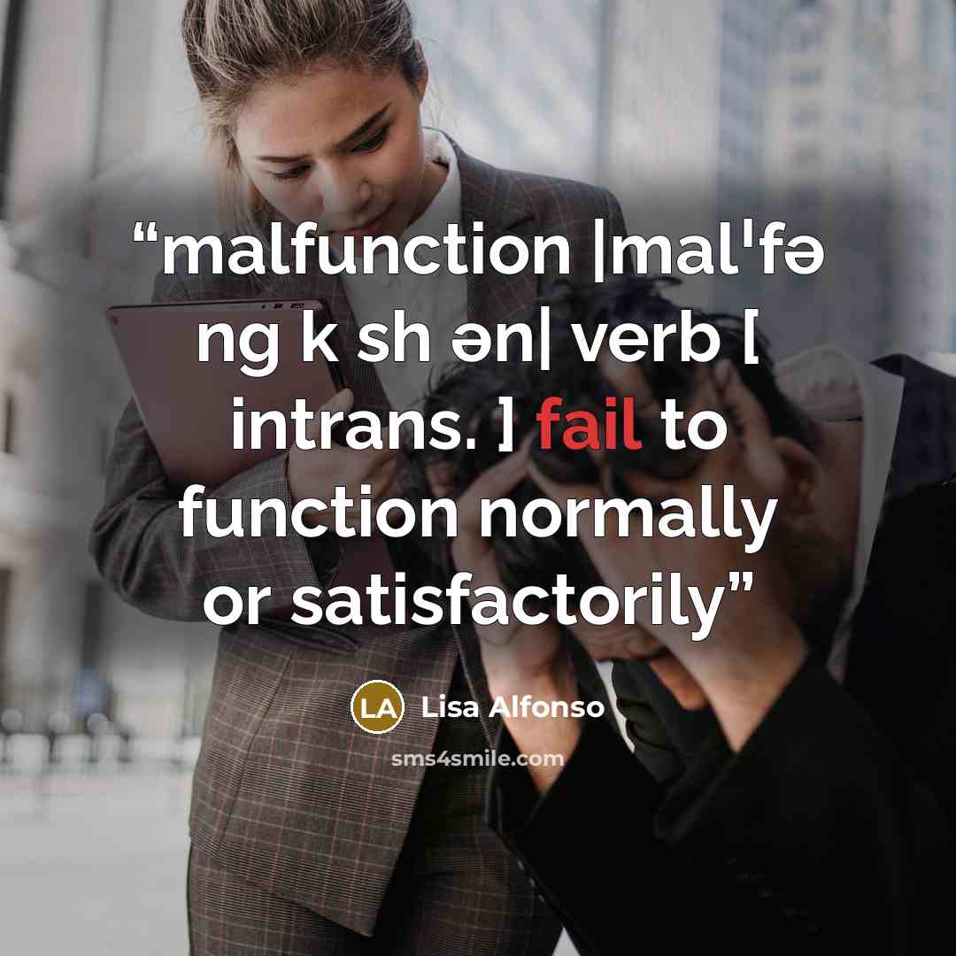 “malfunction |malˈfə ng k sh ən| verb [ intrans. ] fail to function normally or satisfactorily” quote by Lisa Alfonso