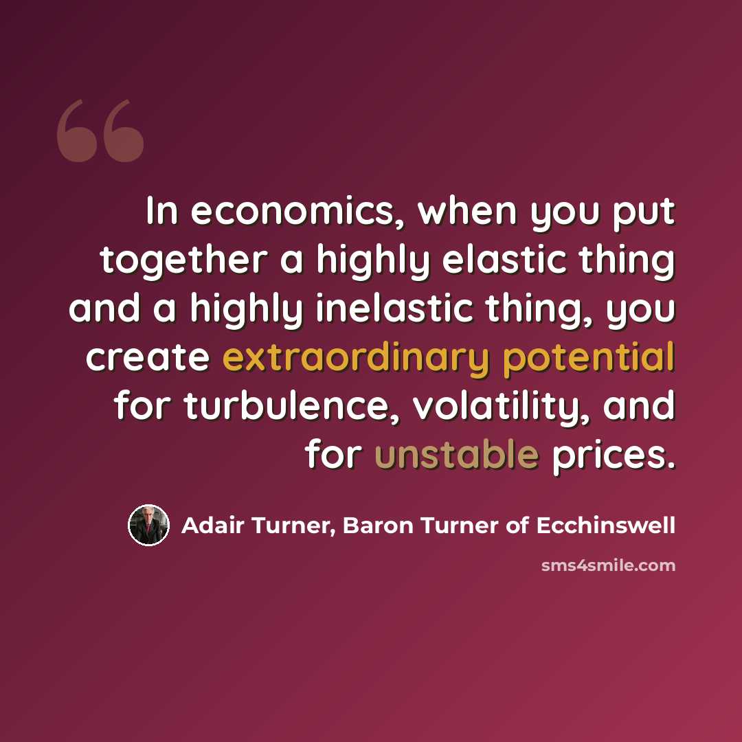 “In economics, when you put together a highly elastic thing and a highly inelastic thing, you create extraordinary potential for turbulence, volatility, and for unstable prices.” quote by Adair Turner, Baron Turner of Ecchinswell