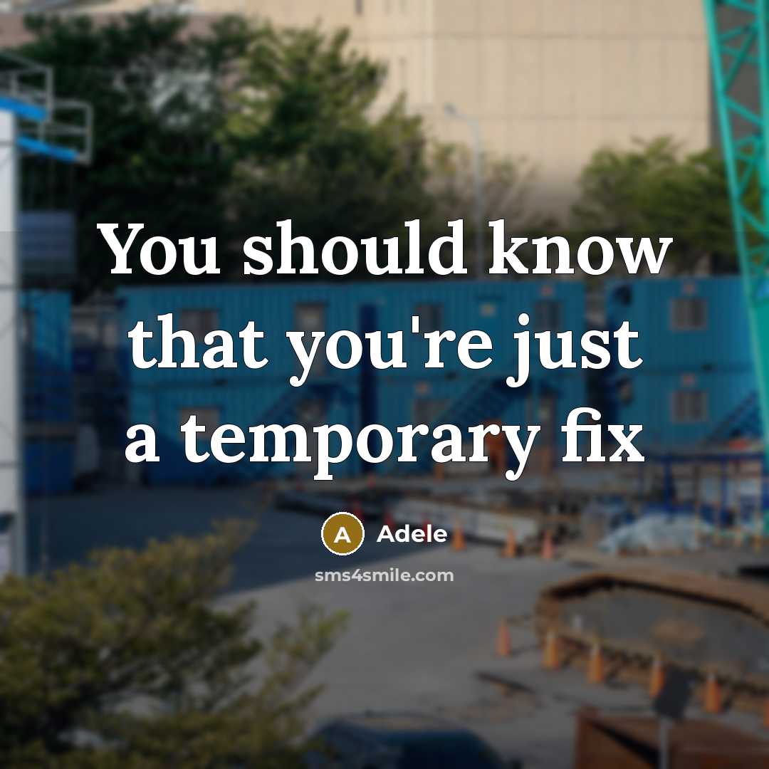 “You should know that you're just a temporary fix” quote by Adele