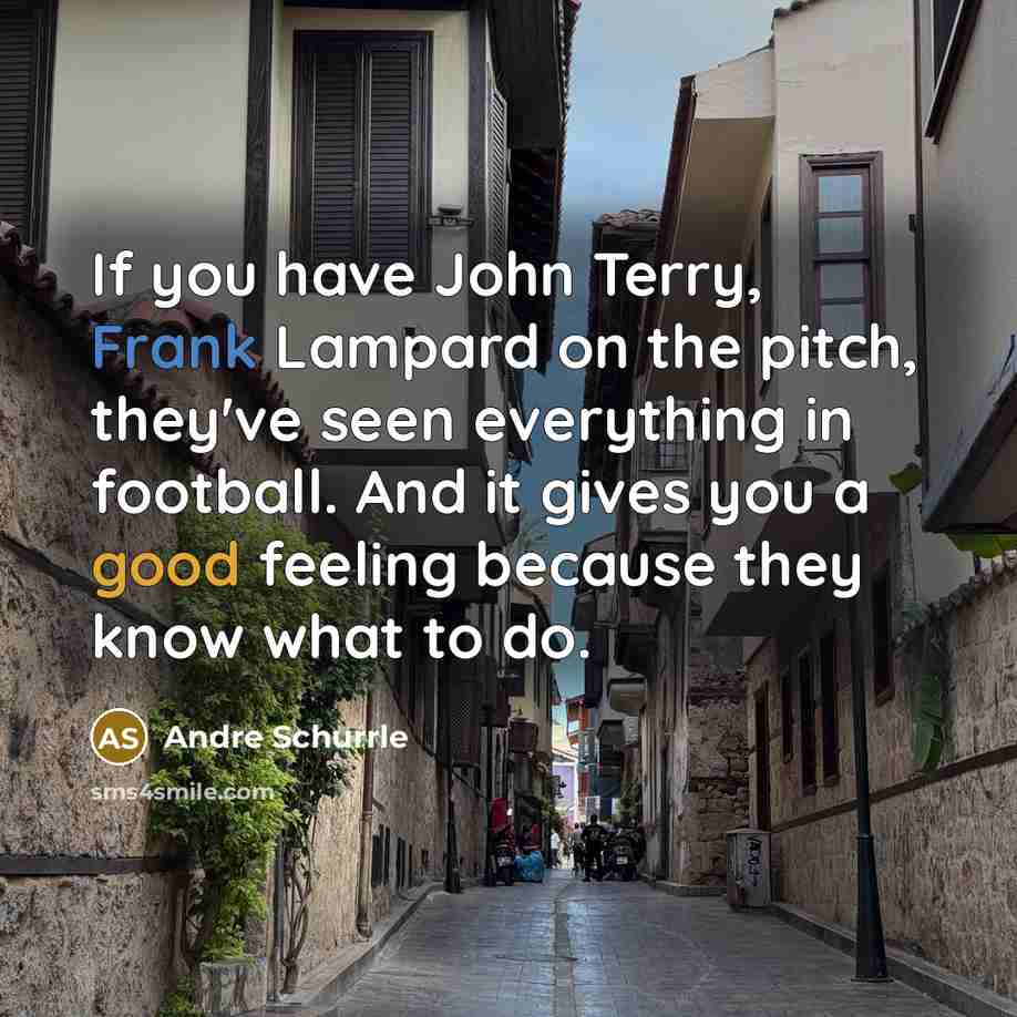 “If you have John Terry, Frank Lampard on the pitch, they've seen everything in football. And it gives you a good feeling because they know what to do.” quote by Andre Schurrle