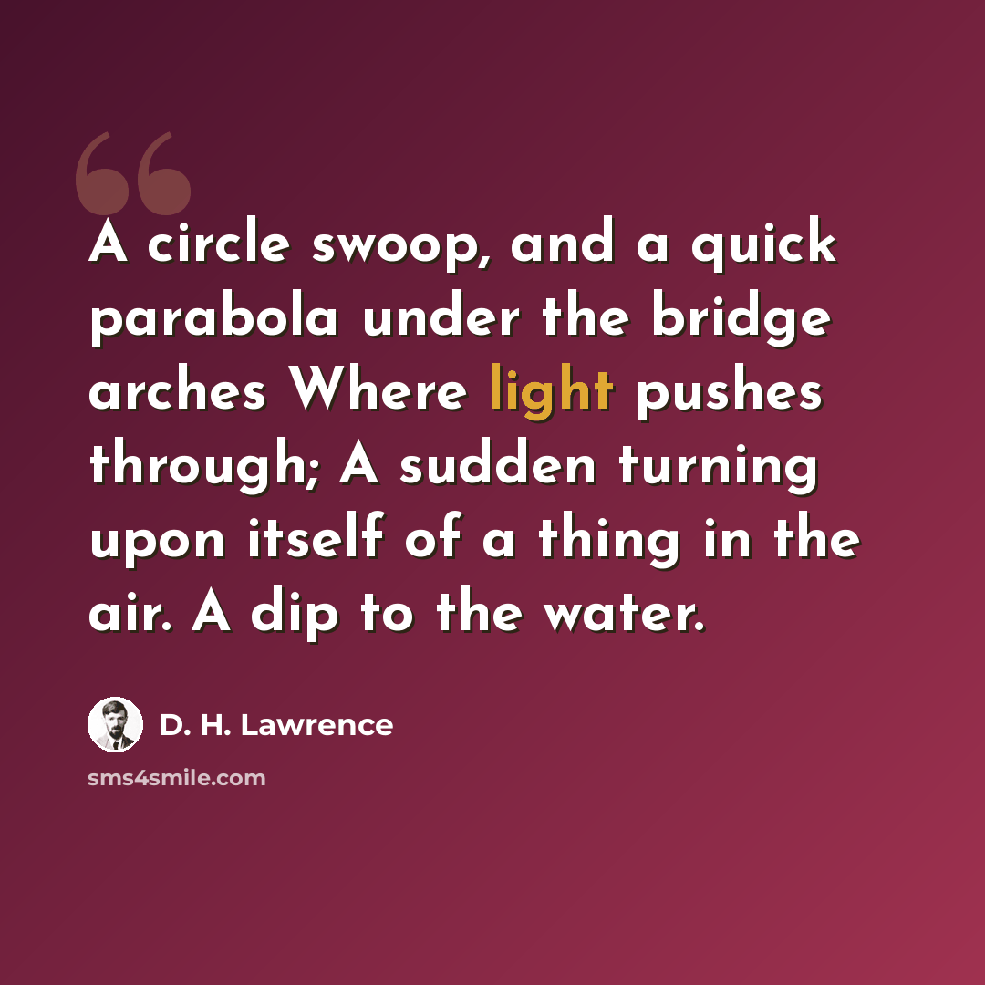 “A circle swoop, and a quick parabola under the bridge arches Where light pushes through; A sudden turning upon itself of a thing in the air. A dip to the water.” quote by D. H. Lawrence