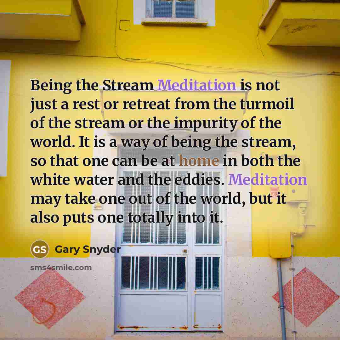 “Being the Stream Meditation is not just a rest or retreat from the turmoil of the stream or the impurity of the world. It is a way of being the stream, so that one can be at home in both the white water and the eddies. Meditation may take one out of the world, but it also puts one totally into it.” quote by Gary Snyder
