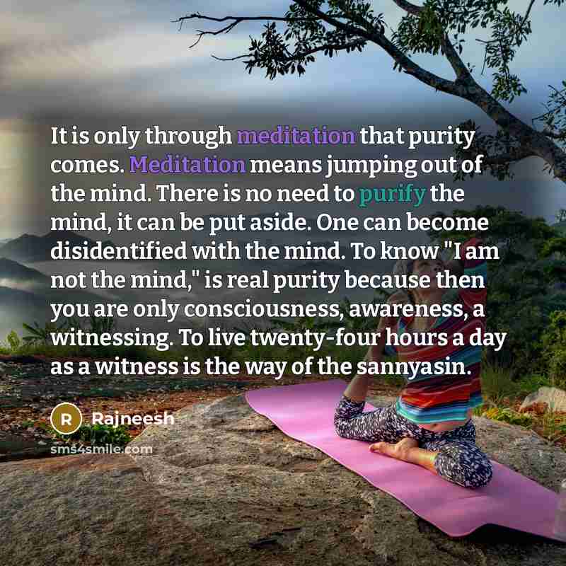 “It is only through meditation that purity comes. Meditation means jumping out of the mind. There is no need to purify the mind, it can be put aside. One can become disidentified with the mind. To know "I am not the mind," is real purity because then you are only consciousness, awareness, a…” quote by Rajneesh