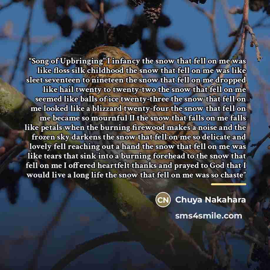 “Song of Upbringing" I infancy the snow that fell on me was like floss silk childhood the snow that fell on me was like sleet seventeen to nineteen the snow that fell on me dropped like hail twenty to twenty-two the snow that fell on me seemed like balls of ice twenty-three the snow that fell on me…” quote by Chuya Nakahara