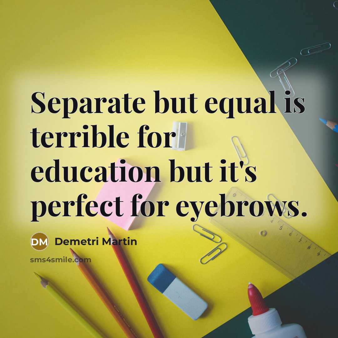 “Separate but equal is terrible for education but it's perfect for eyebrows.” quote by Demetri Martin