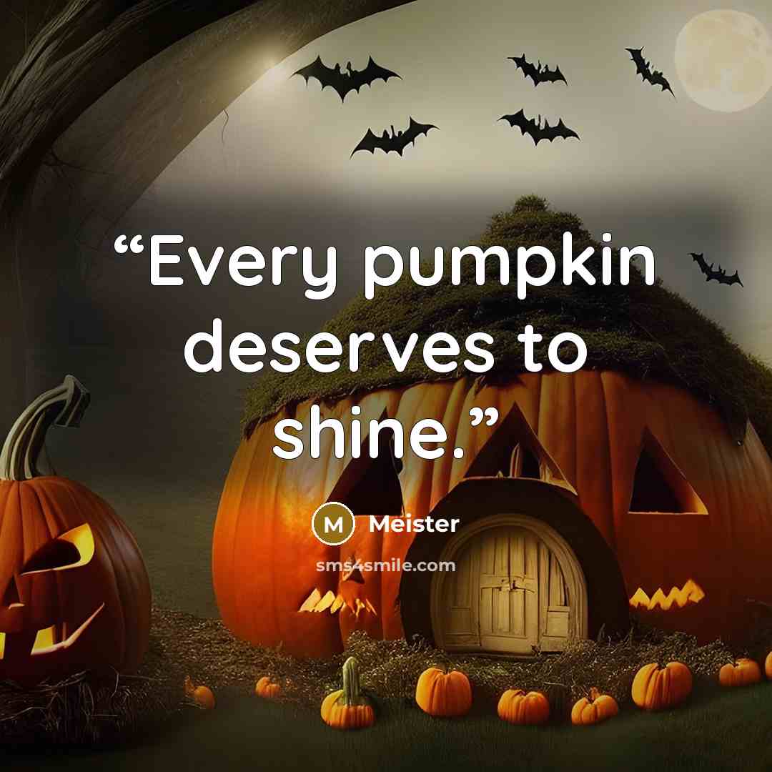 “Every pumpkin deserves to shine.” quote by Meister