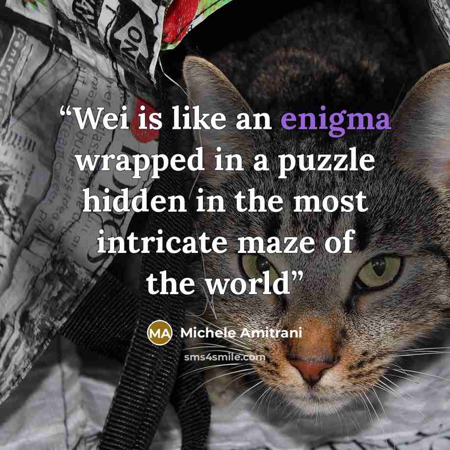 “Wei is like an enigma wrapped in a puzzle hidden in the most intricate maze of the world” quote by Michele Amitrani