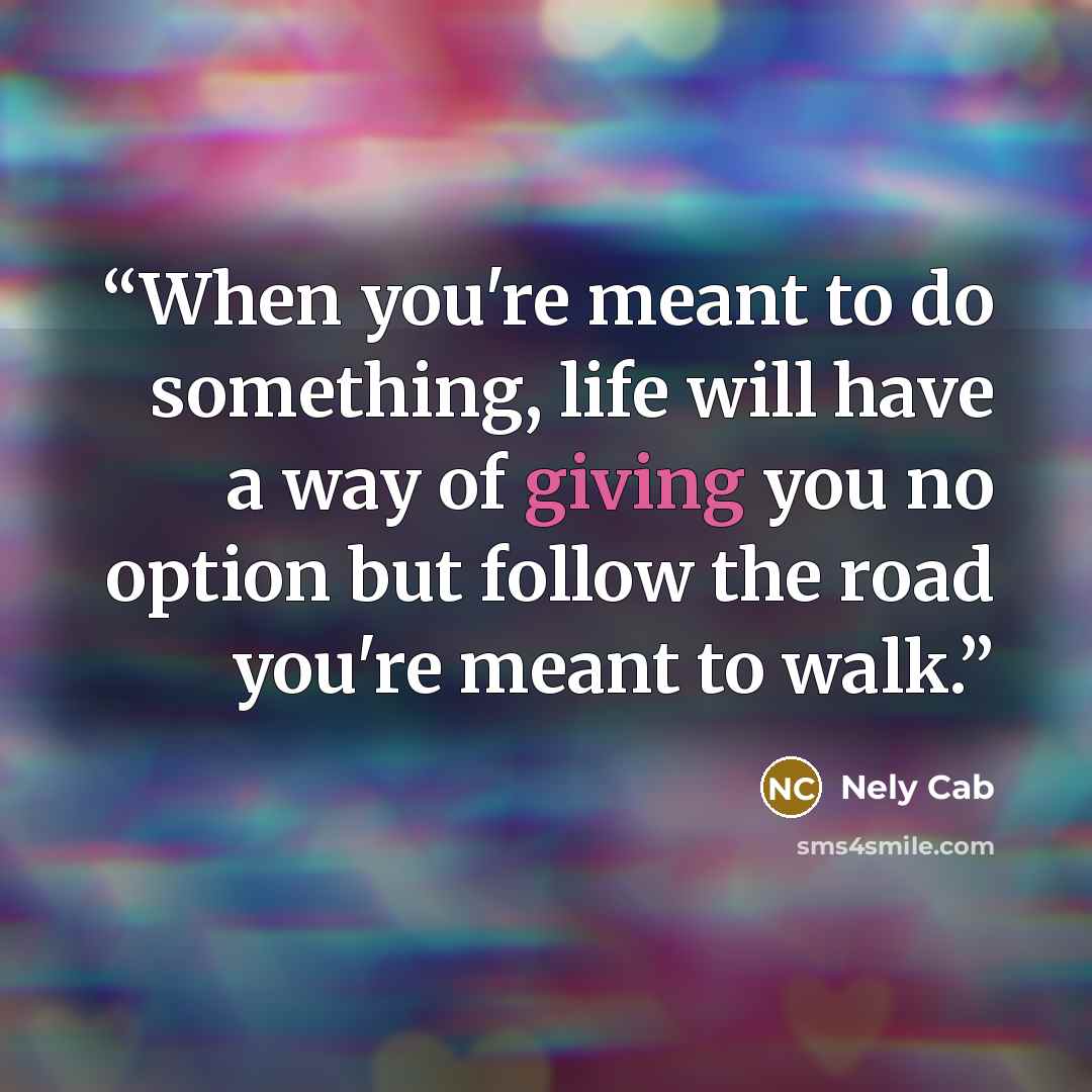 “When you're meant to do something, life will have a way of giving you no option but follow the road you're meant to walk.” quote by Nely Cab