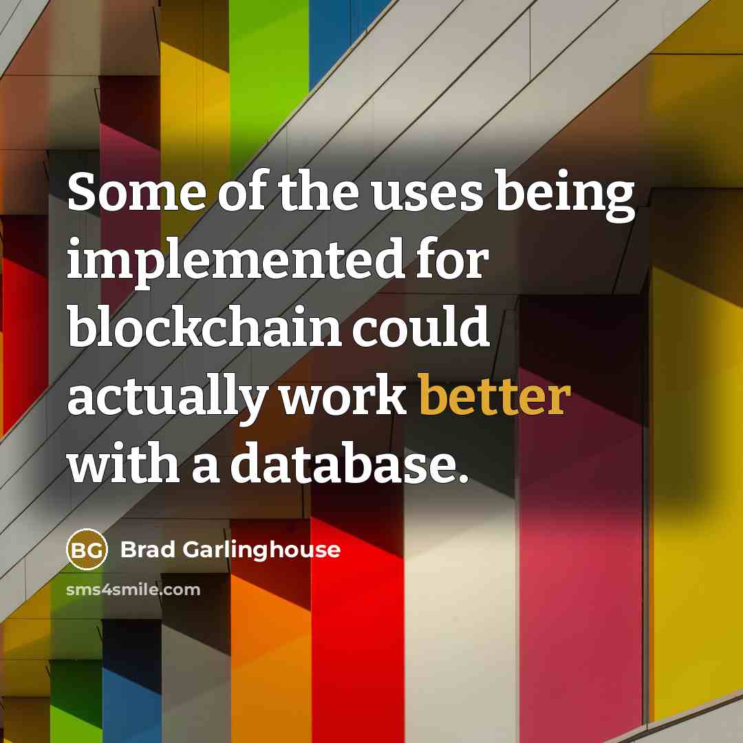 “Some of the uses being implemented for blockchain could actually work better with a database.” quote by Brad Garlinghouse