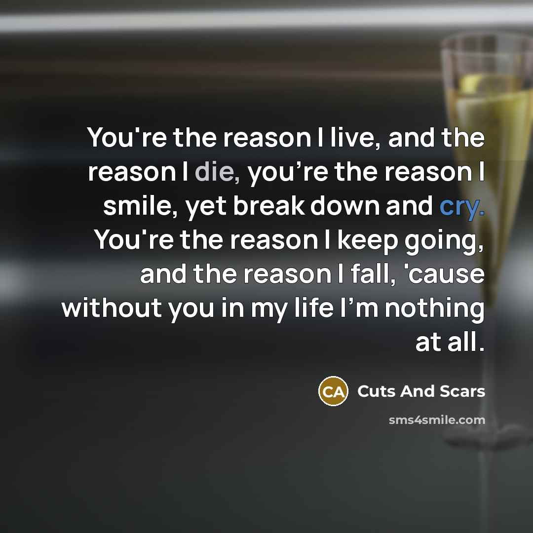 “You're the reason I live, and the reason I die, you're the reason I smile, yet break down and cry. You're the reason I keep going, and the reason I fall, 'cause without you in my life I'm nothing at all.” quote by Cuts And Scars