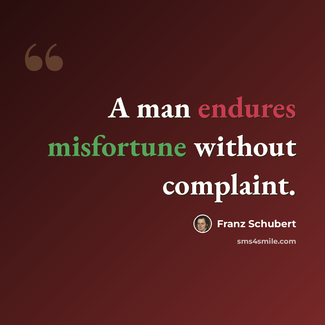 “A man endures misfortune without complaint.” quote by Franz Schubert
