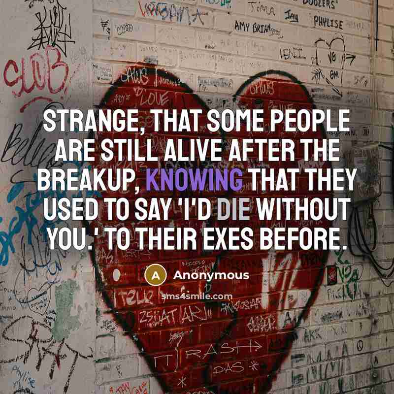 “Strange, that some people are still alive after the breakup, knowing that they used to say 'I'd die without you.' To their exes before.” quote by Anonymous