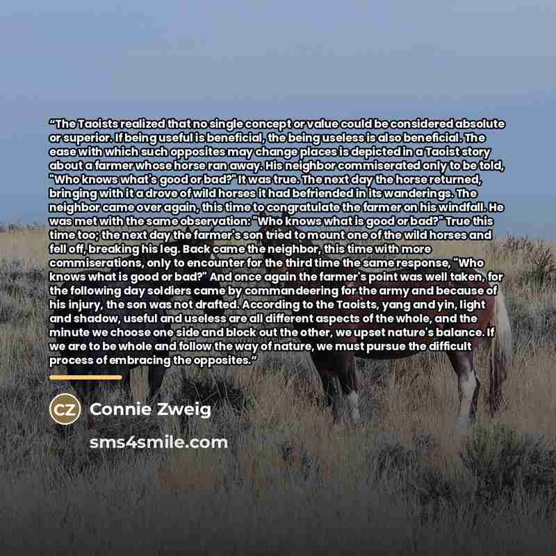 “The Taoists realized that no single concept or value could be considered absolute or superior. If being useful is beneficial, the being useless is also beneficial. The ease with which such opposites may change places is depicted in a Taoist story about a farmer whose horse ran away. His neighbor…” quote by Connie Zweig