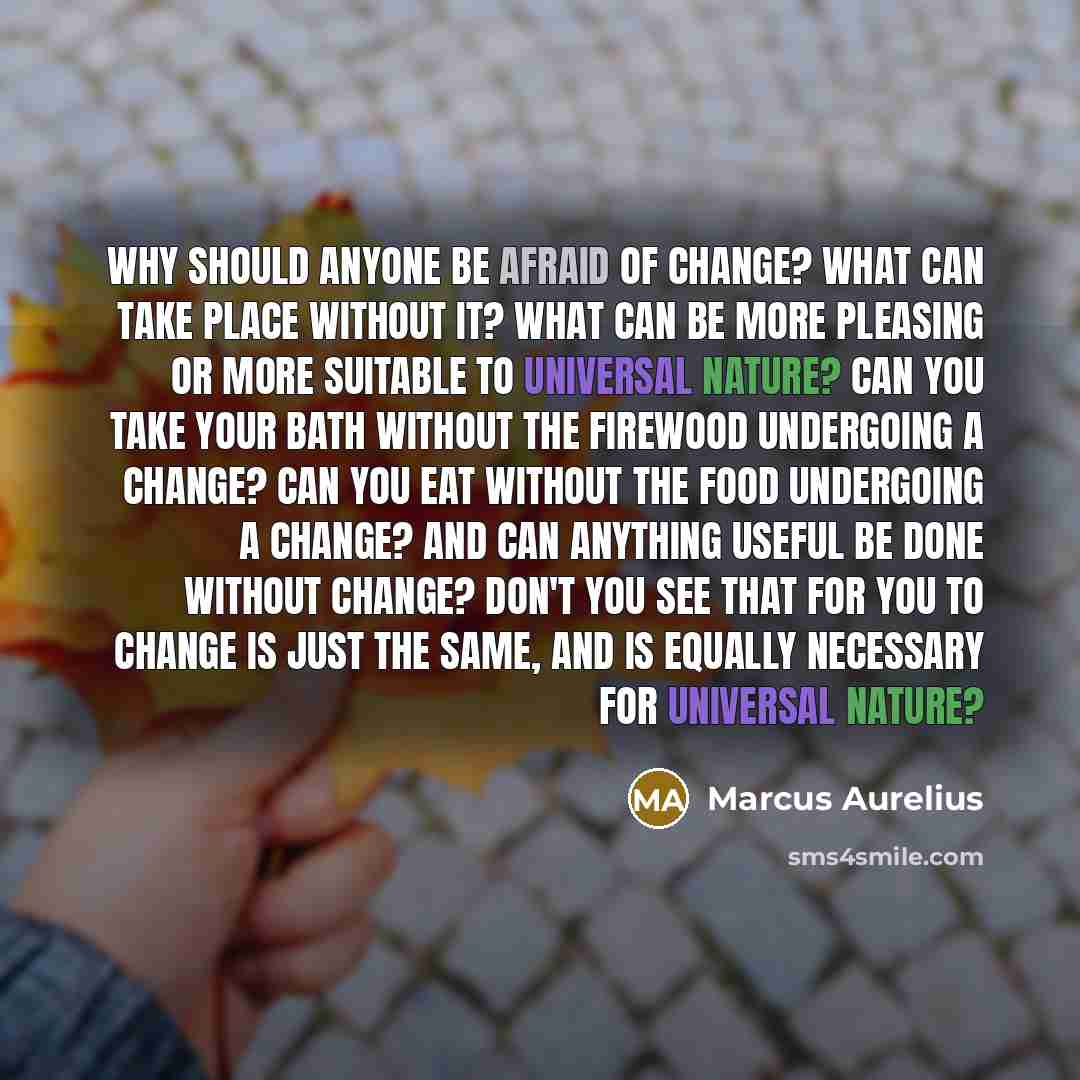 “Why should anyone be afraid of change? What can take place without it? What can be more pleasing or more suitable to universal nature? Can you take your bath without the firewood undergoing a change? Can you eat without the food undergoing a change? And can anything useful be done without change?…” quote by Marcus Aurelius