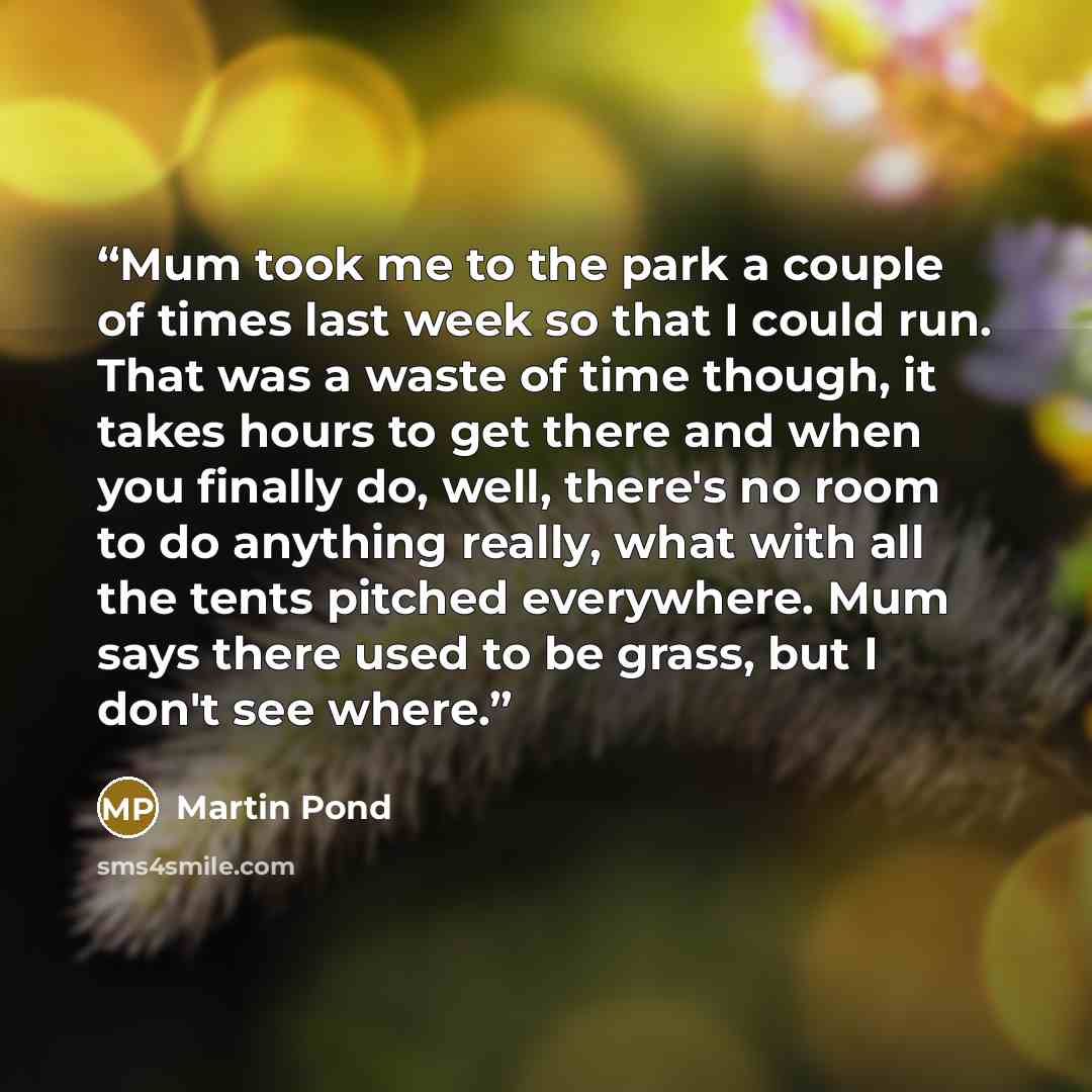“Mum took me to the park a couple of times last week so that I could run. That was a waste of time though, it takes hours to get there and when you finally do, well, there's no room to do anything really, what with all the tents pitched everywhere. Mum says there used to be grass, but I don't see…” quote by Martin Pond
