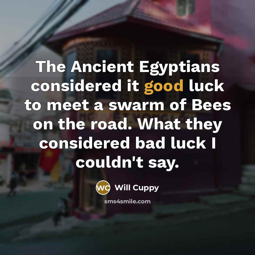 “The Ancient Egyptians considered it good luck to meet a swarm of Bees on the road. What they considered bad luck I couldn't say.” quote by Will Cuppy