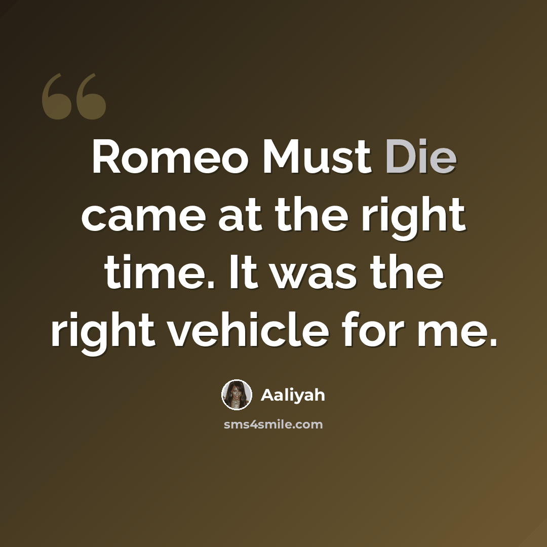 “Romeo Must Die came at the right time. It was the right vehicle for me.” quote by Aaliyah