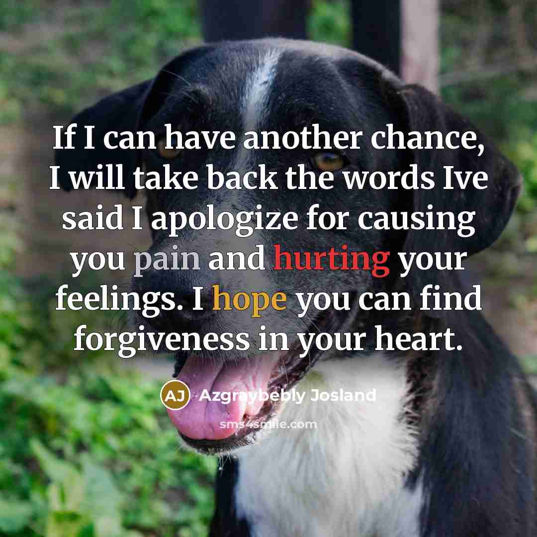 “If I can have another chance, I will take back the words Ive said I apologize for causing you pain and hurting your feelings. I hope you can find forgiveness in your heart.” quote by Azgraybebly Josland