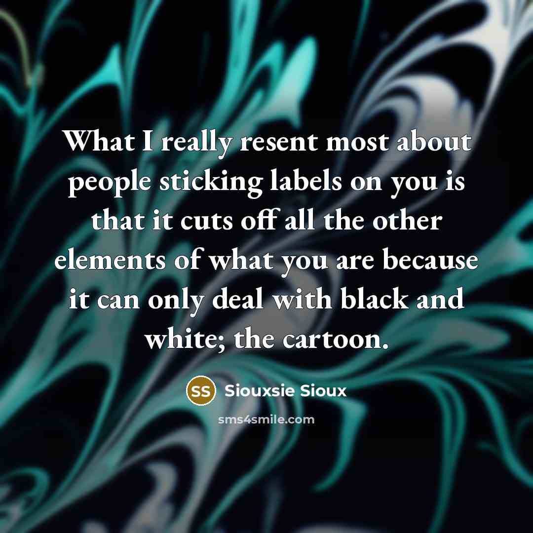 “What I really resent most about people sticking labels on you is that it cuts off all the other elements of what you are because it can only deal with black and white; the cartoon.” quote by Siouxsie Sioux