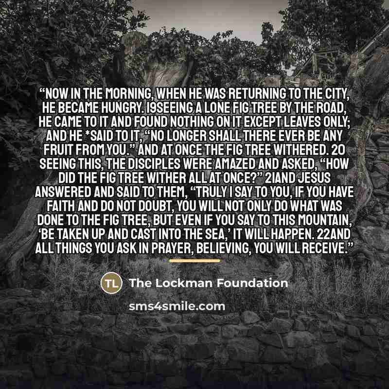 “Now in the morning, when He was returning to the city, He became hungry. 19Seeing a lone fig tree by the road, He came to it and found nothing on it except leaves only; and He *said to it, “No longer shall there ever be any fruit from you.” And at once the fig tree withered. 20 Seeing this, the…” quote by The Lockman Foundation