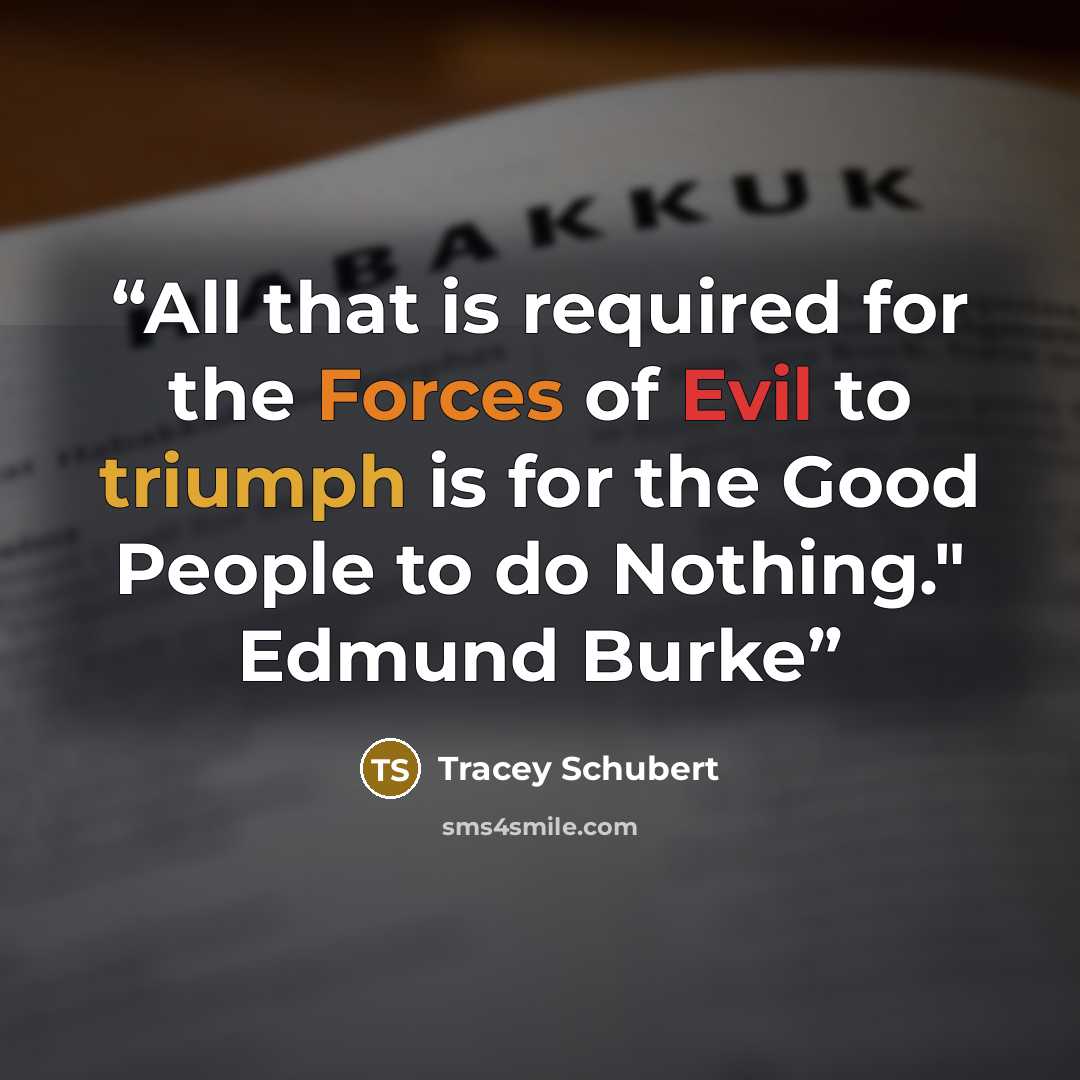 “All that is required for the Forces of Evil to triumph is for the Good People to do Nothing." Edmund Burke” quote by Tracey Schubert