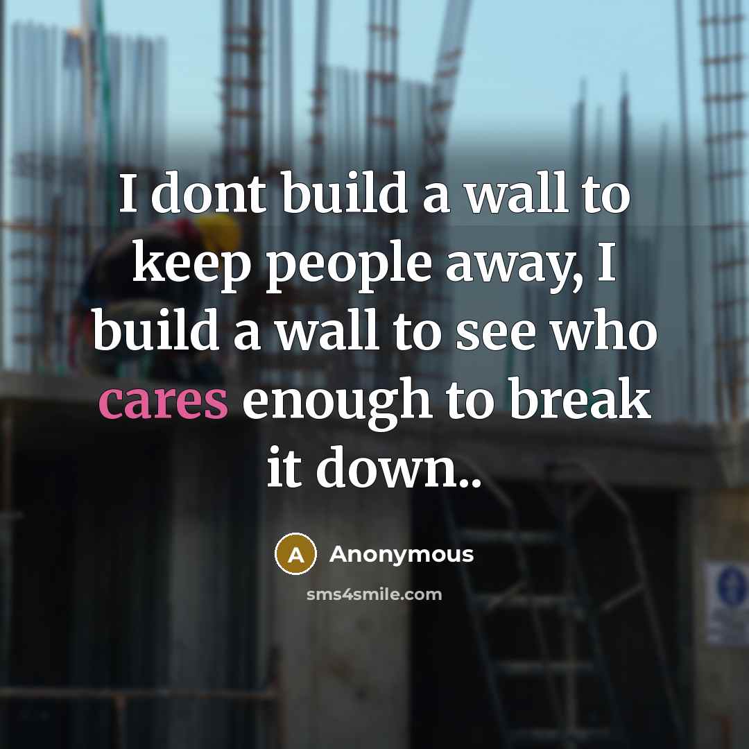 “I dont build a wall to keep people away, I build a wall to see who cares enough to break it down..” quote by Anonymous