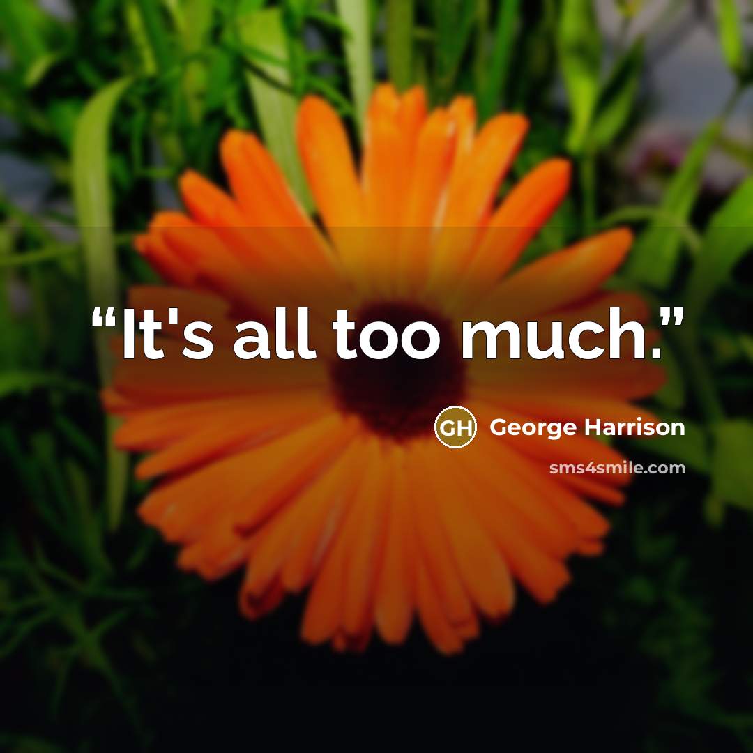 “It's all too much.” quote by George Harrison