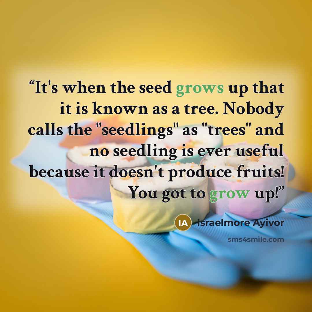 “It's when the seed grows up that it is known as a tree. Nobody calls the "seedlings" as "trees" and no seedling is ever useful because it doesn't produce fruits! You got to grow up!” quote by Israelmore Ayivor