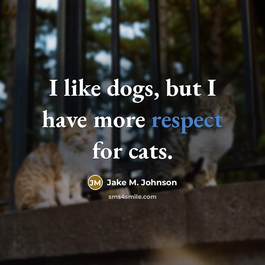 “I like dogs, but I have more respect for cats.” quote by Jake M. Johnson