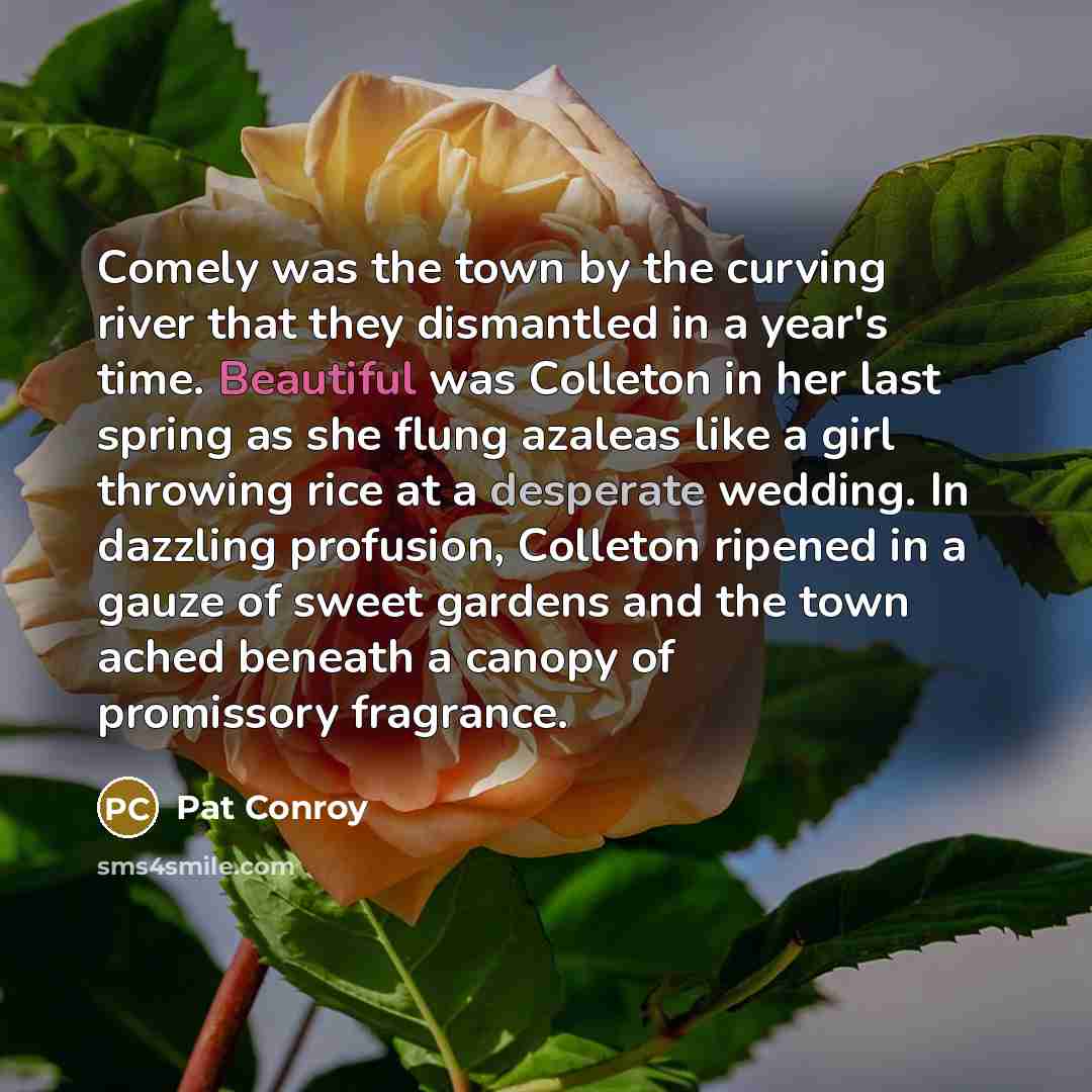 “Comely was the town by the curving river that they dismantled in a year's time. Beautiful was Colleton in her last spring as she flung azaleas like a girl throwing rice at a desperate wedding. In dazzling profusion, Colleton ripened in a gauze of sweet gardens and the town ached beneath a canopy…” quote by Pat Conroy