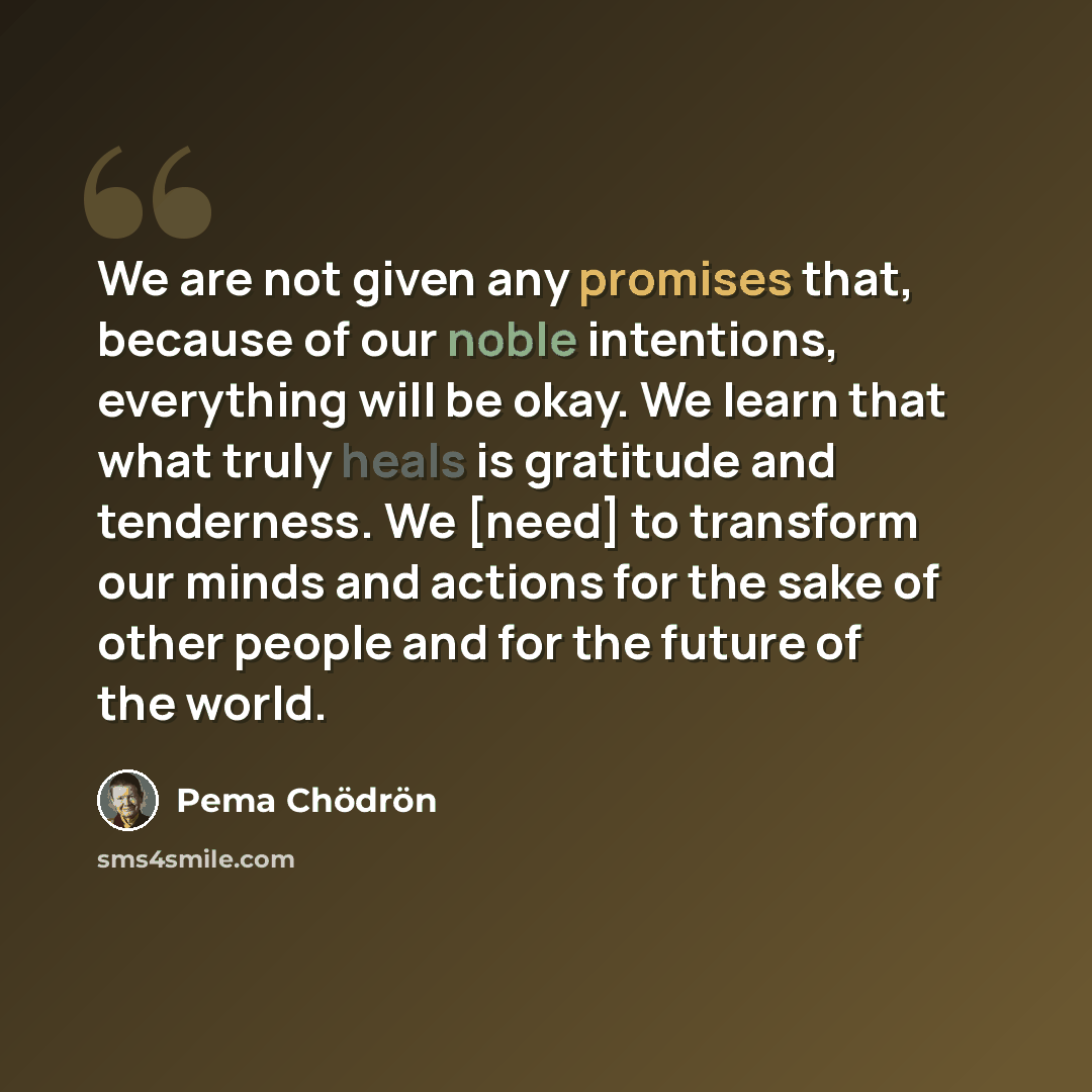 “We are not given any promises that, because of our noble intentions, everything will be okay. We learn that what truly heals is gratitude and tenderness. We [need] to transform our minds and actions for the sake of other people and for the future of the world.” quote by Pema Chodron