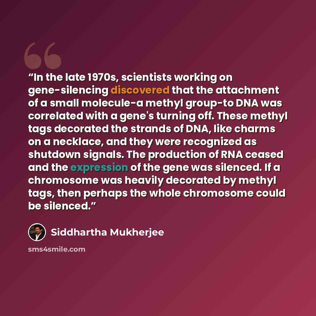 “In the late 1970s, scientists working on gene-silencing discovered that the attachment of a small molecule-a methyl group-to DNA was correlated with a gene's turning off. These methyl tags decorated the strands of DNA, like charms on a necklace, and they were recognized as shutdown signals. The…” quote by Siddhartha Mukherjee