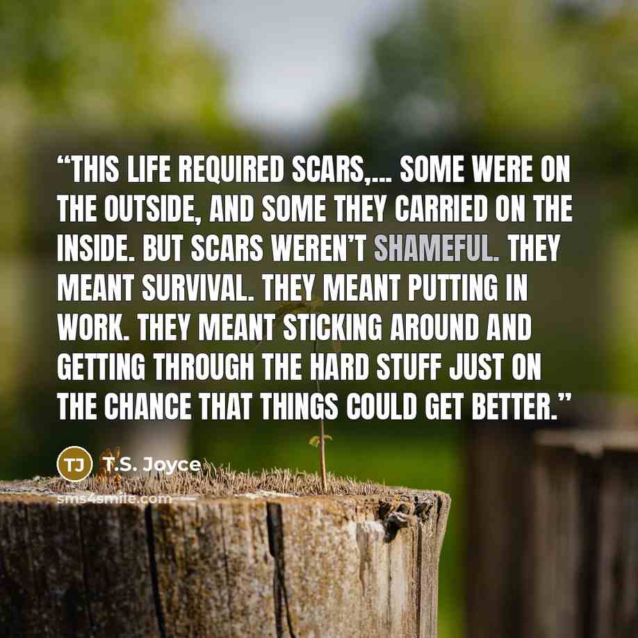 “This life required scars,... Some were on the outside, and some they carried on the inside. But scars weren’t shameful. They meant survival. They meant putting in work. They meant sticking around and getting through the hard stuff just on the chance that things could get better.” quote by T.S. Joyce