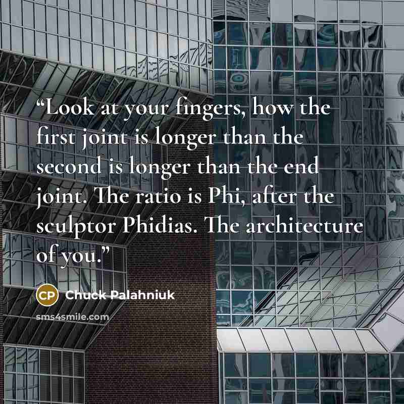 “Look at your fingers, how the first joint is longer than the second is longer than the end joint. The ratio is Phi, after the sculptor Phidias. The architecture of you.” quote by Chuck Palahniuk