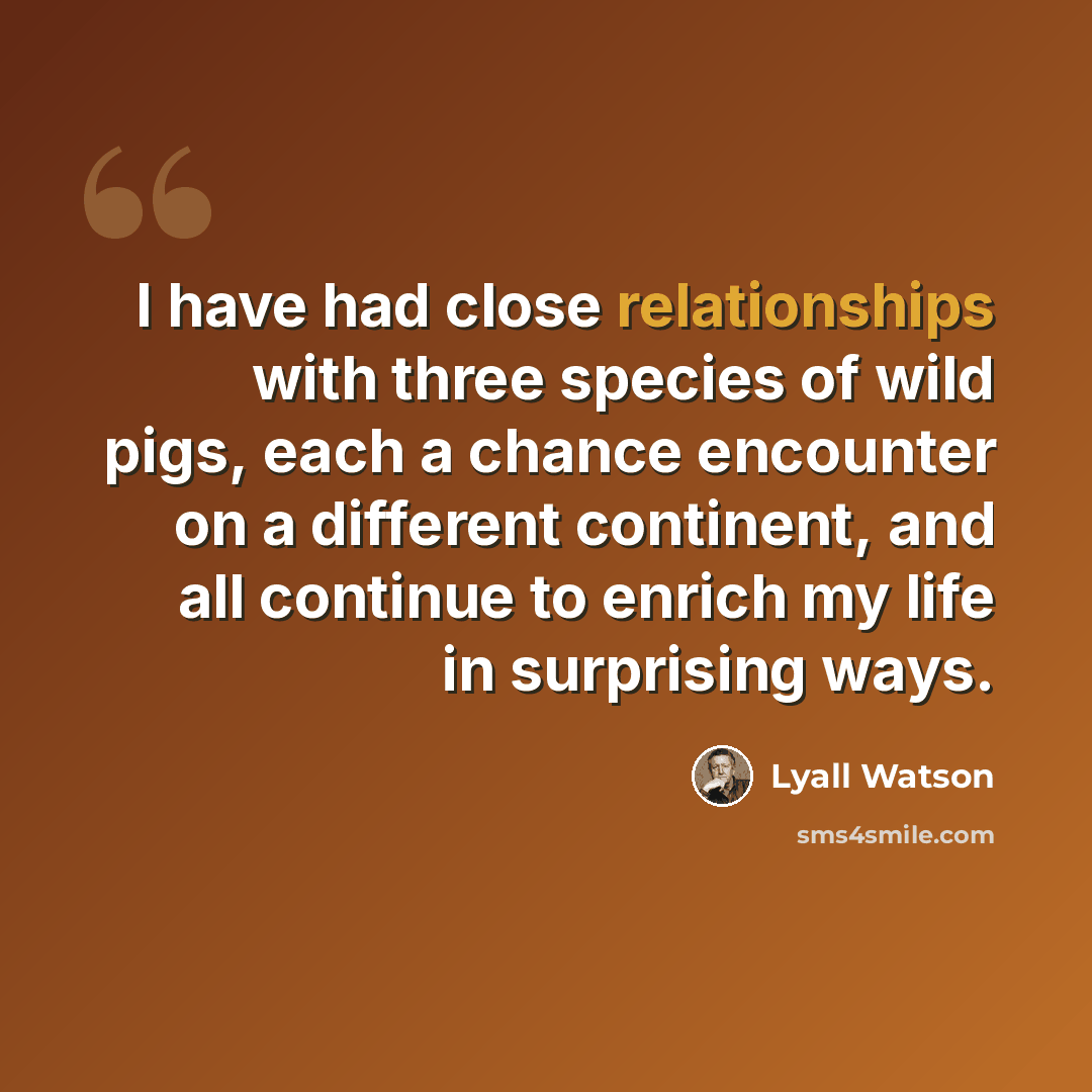“I have had close relationships with three species of wild pigs, each a chance encounter on a different continent, and all continue to enrich my life in surprising ways.” quote by Lyall Watson