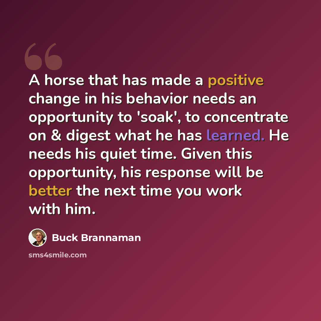 “A horse that has made a positive change in his behavior needs an opportunity to 'soak', to concentrate on & digest what he has learned. He needs his quiet time. Given this opportunity, his response will be better the next time you work with him.” quote by Buck Brannaman