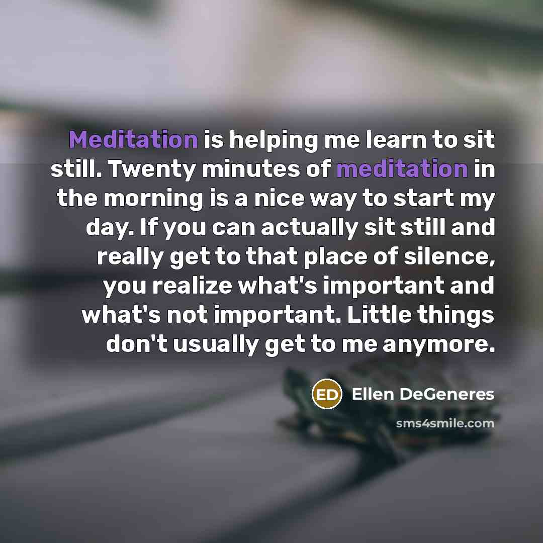 “Meditation is helping me learn to sit still. Twenty minutes of meditation in the morning is a nice way to start my day. If you can actually sit still and really get to that place of silence, you realize what's important and what's not important. Little things don't usually get to me anymore.” quote by Ellen DeGeneres