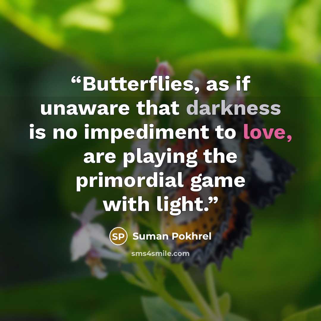 “Butterflies, as if unaware that darkness is no impediment to love, are playing the primordial game with light.” quote by Suman Pokhrel