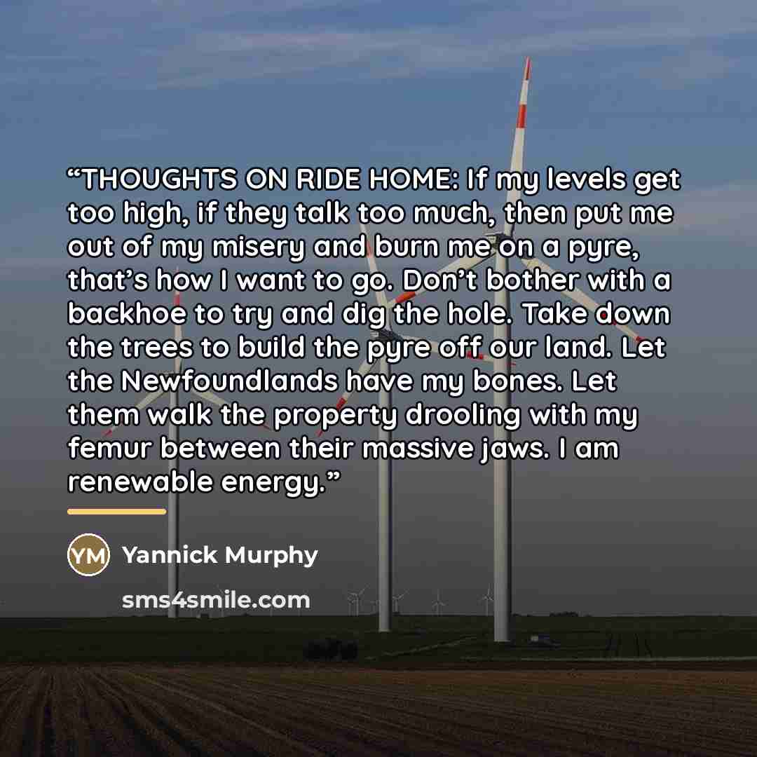 “THOUGHTS ON RIDE HOME: If my levels get too high, if they talk too much, then put me out of my misery and burn me on a pyre, that’s how I want to go. Don’t bother with a backhoe to try and dig the hole. Take down the trees to build the pyre off our land. Let the Newfoundlands have my bones. Let…” quote by Yannick Murphy