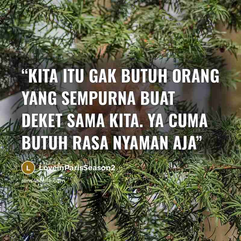 “Kita itu gak butuh orang yang sempurna buat deket sama kita. Ya cuma butuh rasa nyaman aja” quote by LoveinParisSeason2