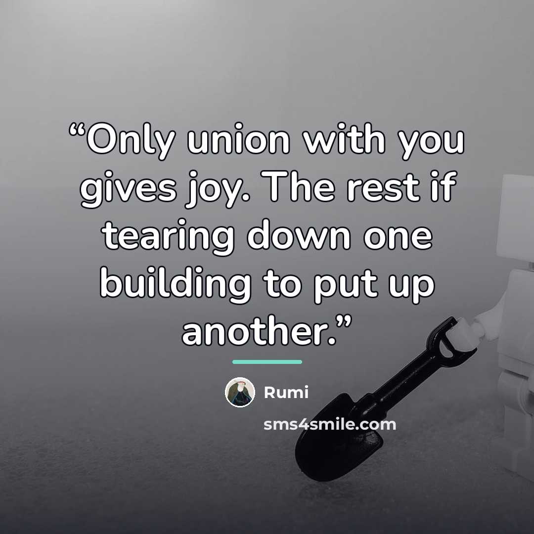 “Only union with you gives joy. The rest if tearing down one building to put up another.” quote by Rumi
