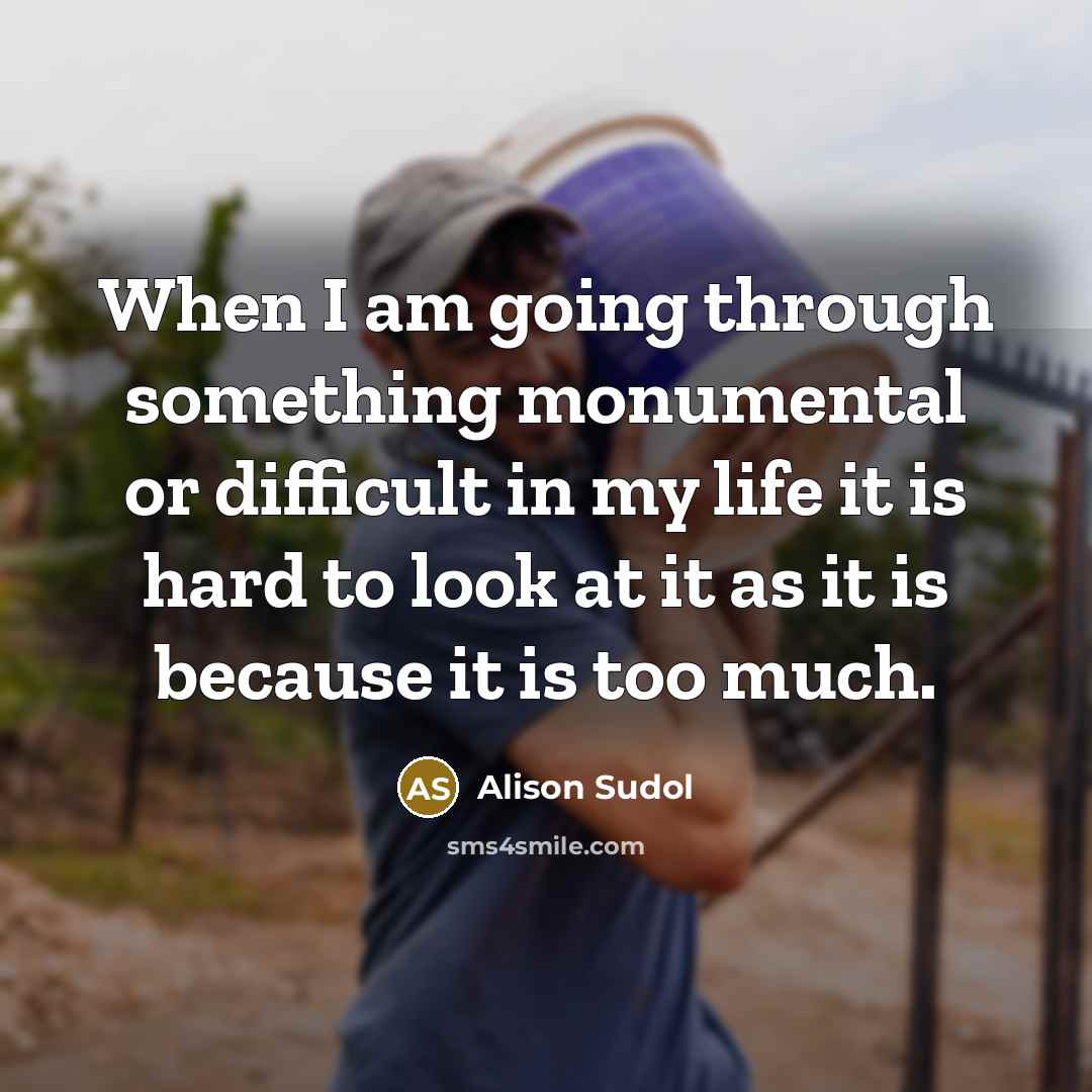 “When I am going through something monumental or difficult in my life it is hard to look at it as it is because it is too much.” quote by Alison Sudol