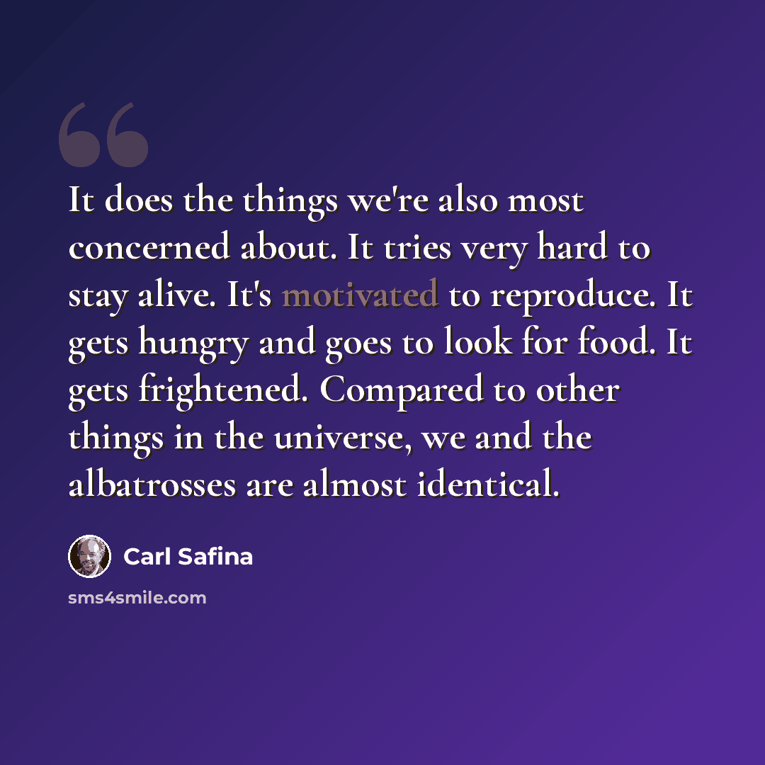 “It does the things we're also most concerned about. It tries very hard to stay alive. It's motivated to reproduce. It gets hungry and goes to look for food. It gets frightened. Compared to other things in the universe, we and the albatrosses are almost identical.” quote by Carl Safina