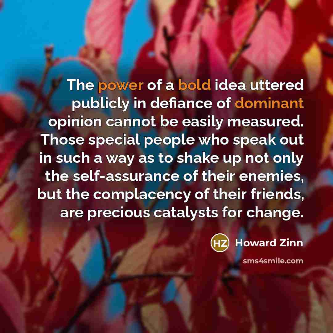 “The power of a bold idea uttered publicly in defiance of dominant opinion cannot be easily measured. Those special people who speak out in such a way as to shake up not only the self-assurance of their enemies, but the complacency of their friends, are precious catalysts for change.” quote by Howard Zinn