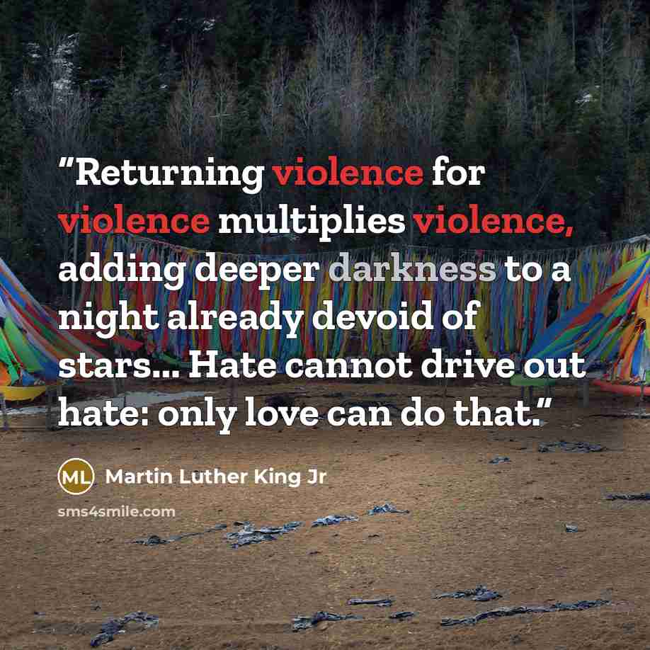 “Returning violence for violence multiplies violence, adding deeper darkness to a night already devoid of stars... Hate cannot drive out hate: only love can do that.” quote by Martin Luther King Jr