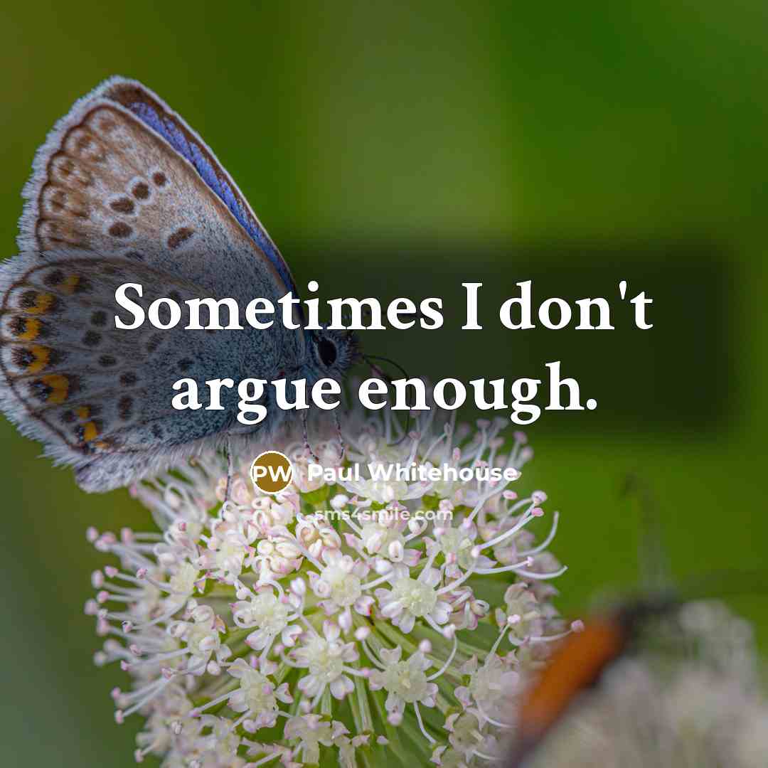 “Sometimes I don't argue enough.” quote by Paul Whitehouse