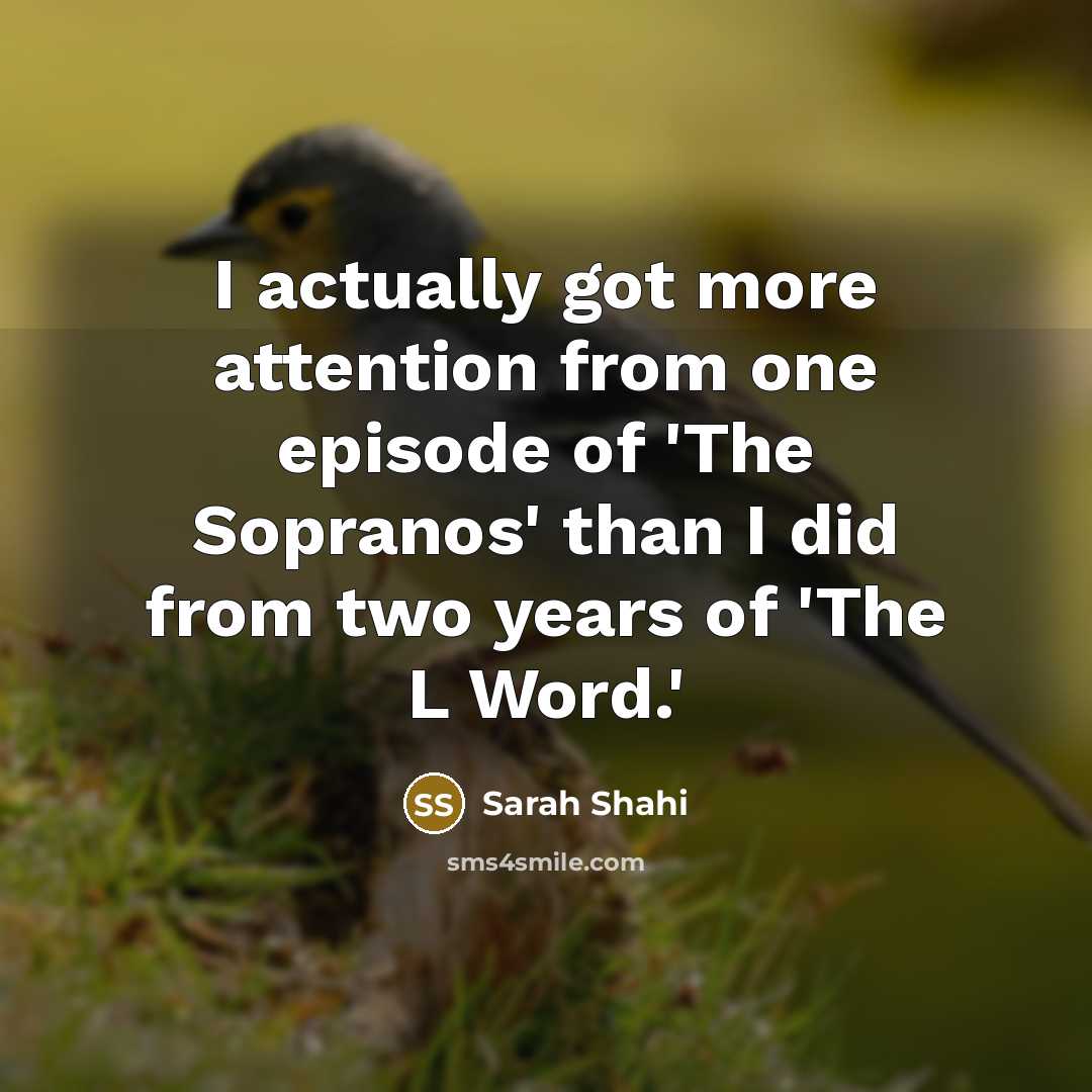 “I actually got more attention from one episode of 'The Sopranos' than I did from two years of 'The L Word.'” quote by Sarah Shahi